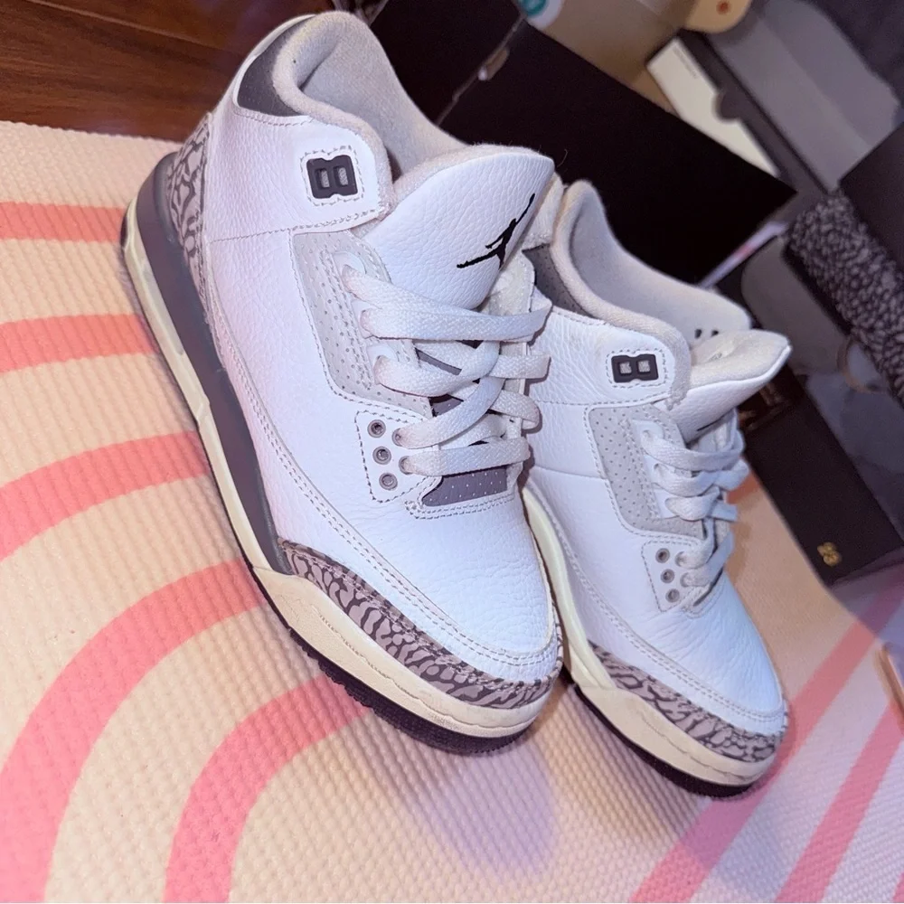 Jordan retro 3